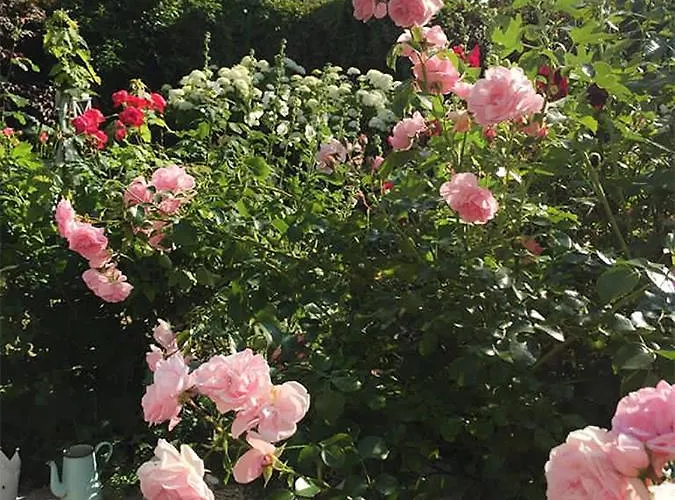 Unser Sommerhaus Timmendorfer Strand