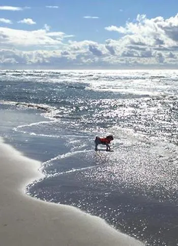 Unser Sommerhaus Vakantiehuis Timmendorfer Strand
